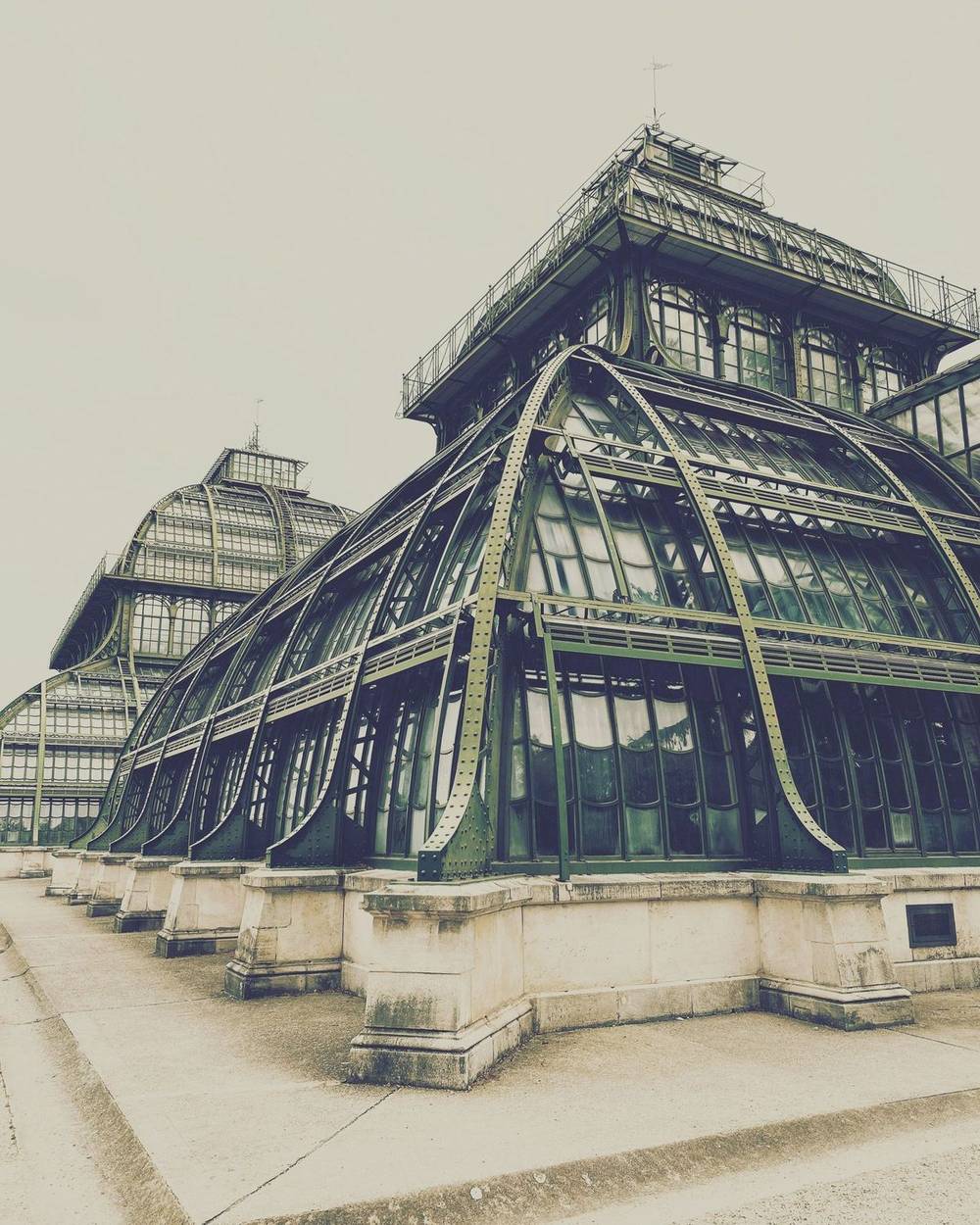 Palmenhaus Schönbrunn